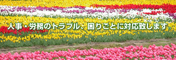 �l���E�J���̃g���u���A���育�ƂɑΉ��v���܂��B